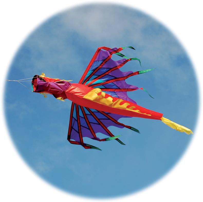 Dragon Windsock, Fire