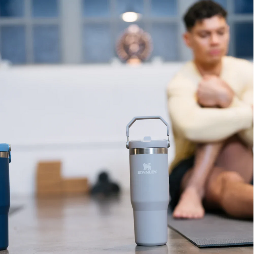 Stanley IceFlow™ Flip Straw Tumblers 0.89L - Ash