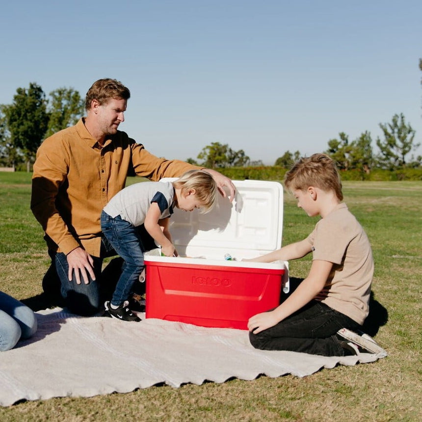 Igloo Laguna 48 Coolbox - 45 Litre BLUE