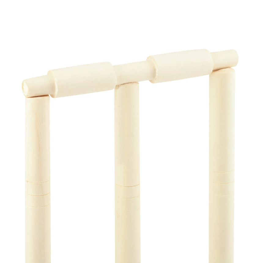 Powerplay Deluxe Size 3 Cricket Set
