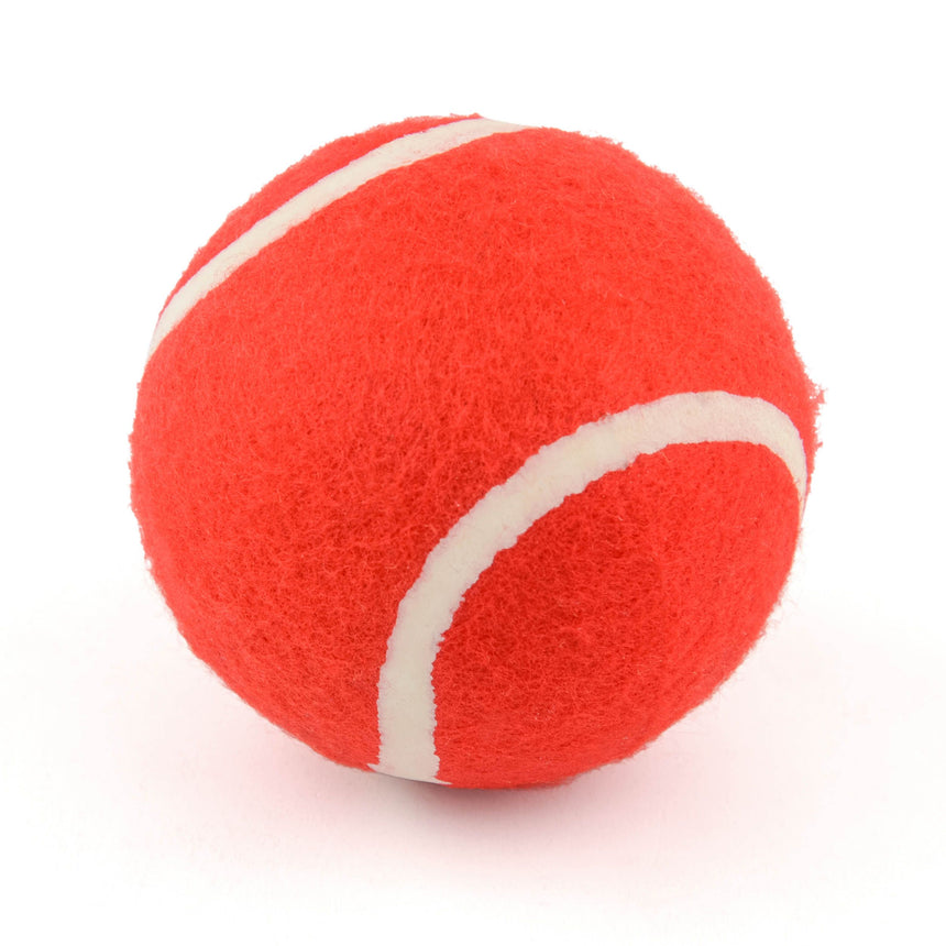 Powerplay Cricket Set Ball