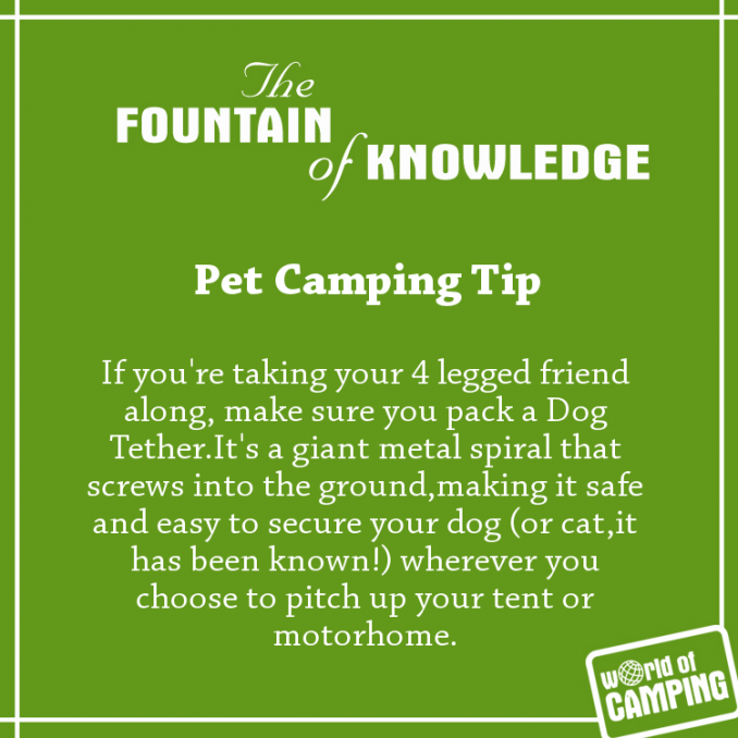 Pet Camping Tip