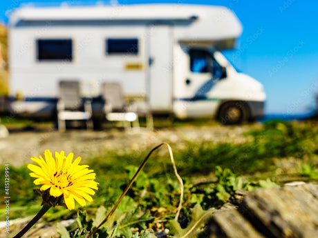 Embracing the Renewal of Spring: Camping Adventures Await.