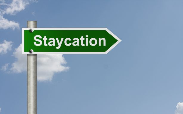The Staycation Camping Bug