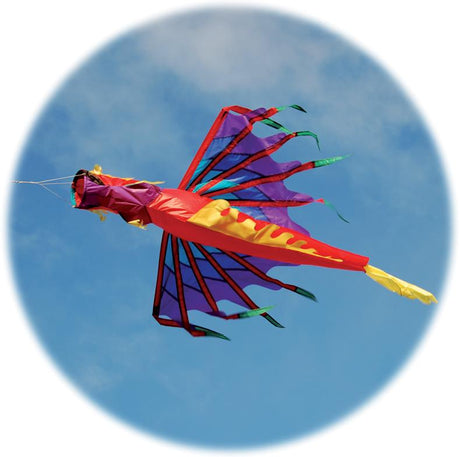Dragon Windsock, Fire