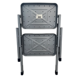 Liberty Folding Double Step