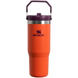 Stanley IceFlow™ Flip Straw Tumblers 0.89L - Tigerlily Plum
